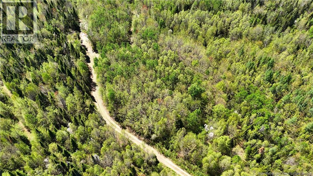 395 Route 630, Andersonville, New Brunswick  E5A 1C8 - Photo 15 - NB139819