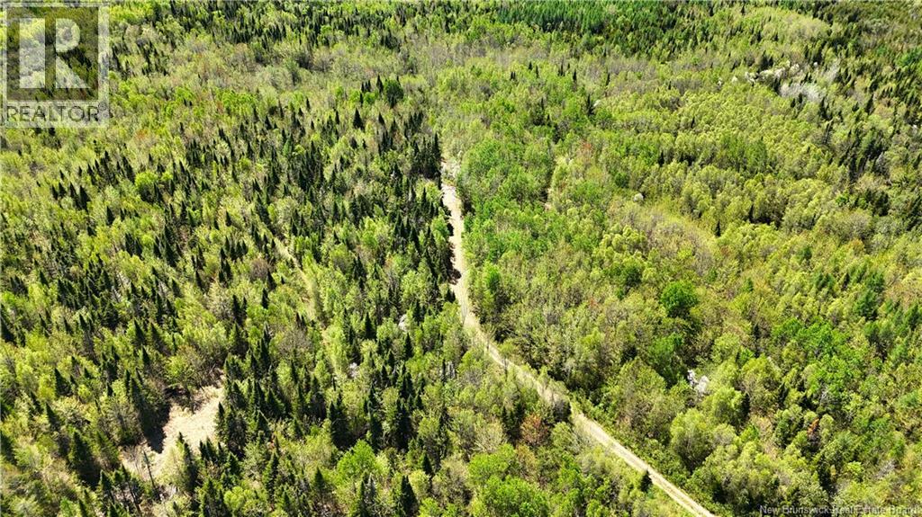 395 Route 630, Andersonville, New Brunswick  E5A 1C8 - Photo 12 - NB139819
