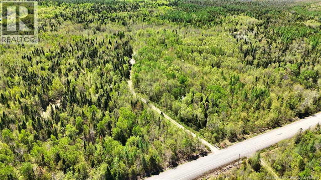 395 Route 630, Andersonville, New Brunswick  E5A 1C8 - Photo 11 - NB139819