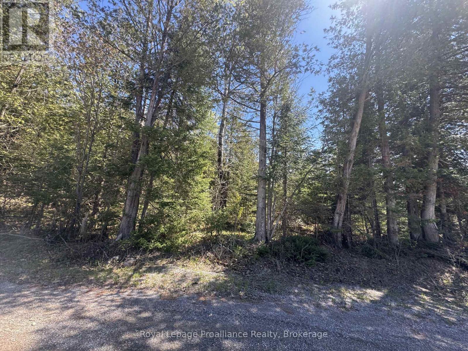 920 Beaver Creek Road, Marmora And Lake, Ontario  K0K 2M0 - Photo 23 - X13161166