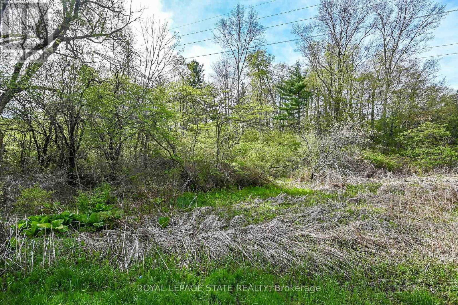 0 Mineral Springs Road, Hamilton, Ontario  L9G 4X1 - Photo 8 - X13161550