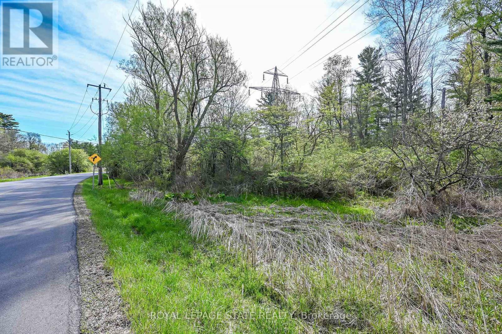 0 Mineral Springs Road, Hamilton, Ontario  L9G 4X1 - Photo 9 - X13161550