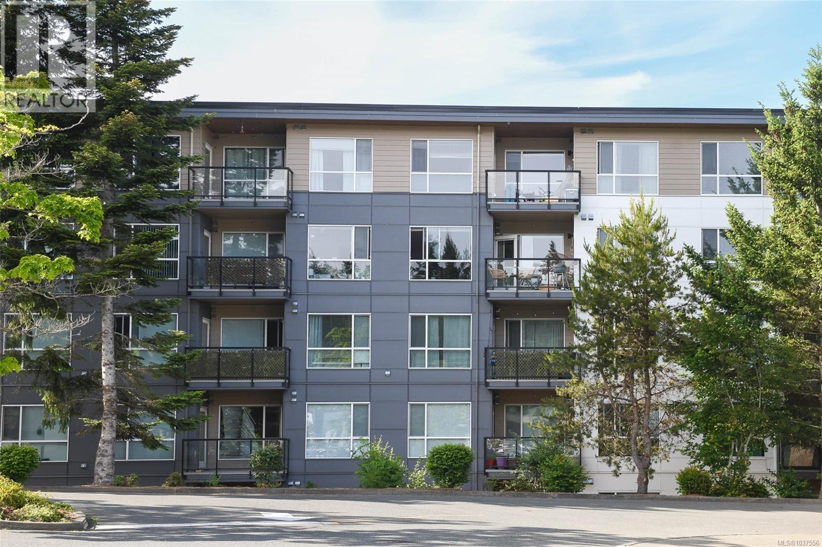 310 3070 Kilpatrick Ave, Courtenay, British Columbia  V9N 0G7 - Photo 4 - 1037556