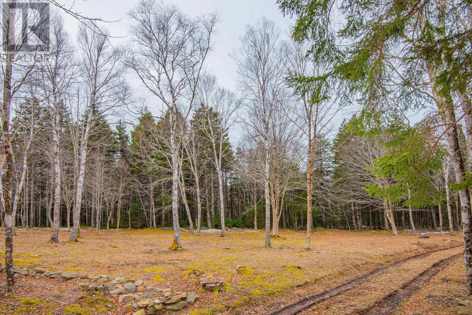 Lot Peter Leblanc Road, Meteghan, Nova Scotia B0W 2J0 - Photo 13 - 202606548