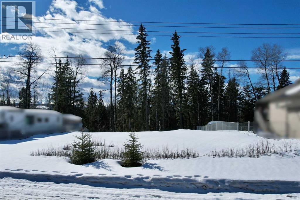47 Beaver Drive, Whitecourt, Alberta  T7S 1G5 - Photo 5 - A2294412