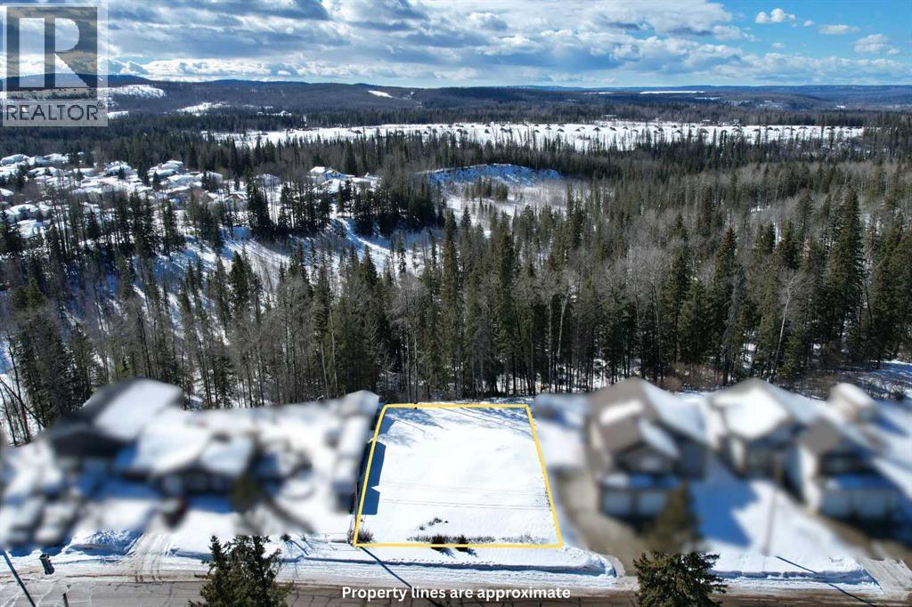 47 Beaver Drive, Whitecourt, Alberta  T7S 1G5 - Photo 2 - A2294412