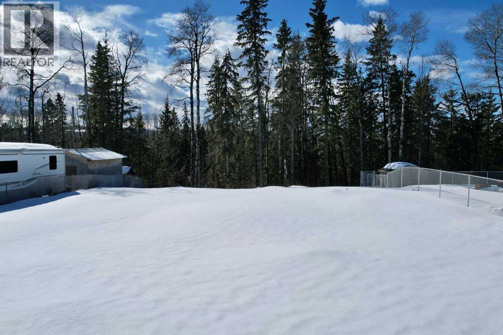 47 Beaver Drive, Whitecourt, Alberta  T7S 1G5 - Photo 6 - A2294412