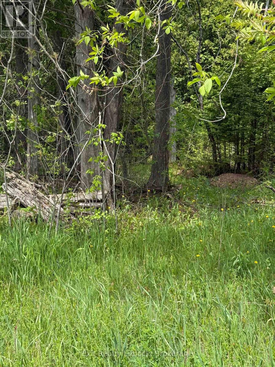 00 Concession Rd 11 E., Trent Hills, Ontario  K0L 1Y0 - Photo 1 - X13162454