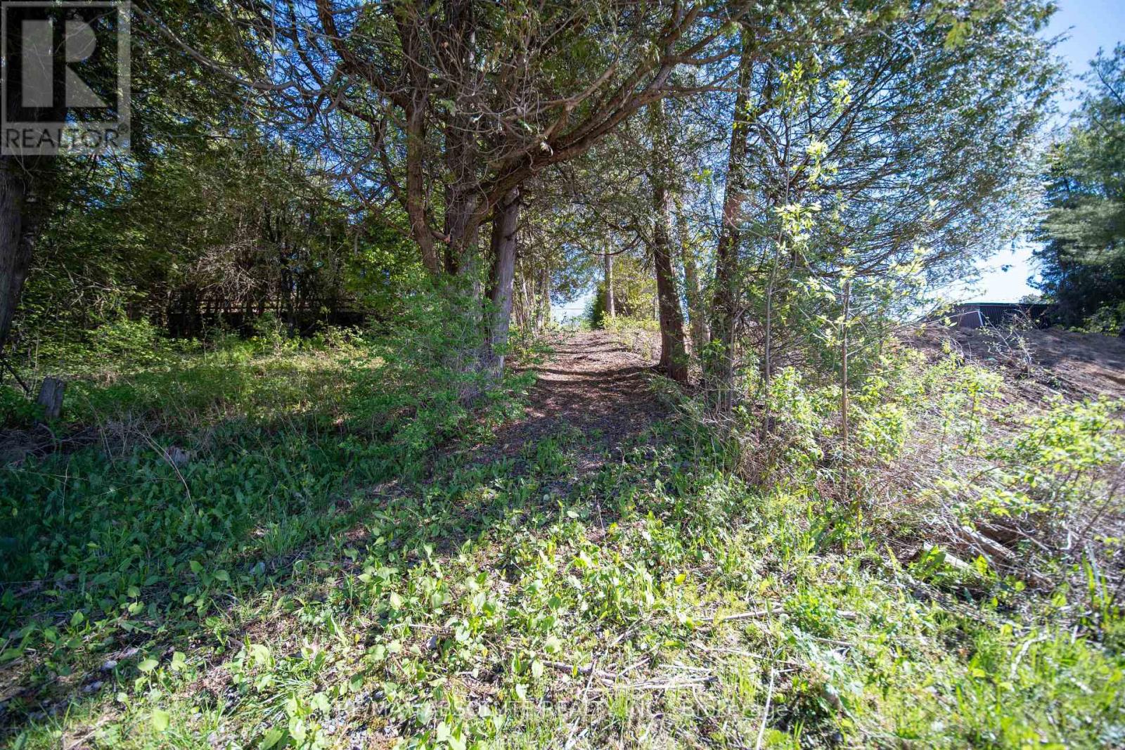 60 Leclair Road W Road, Alfred And Plantagenet, Ontario  K0B 1L0 - Photo 24 - X13162336