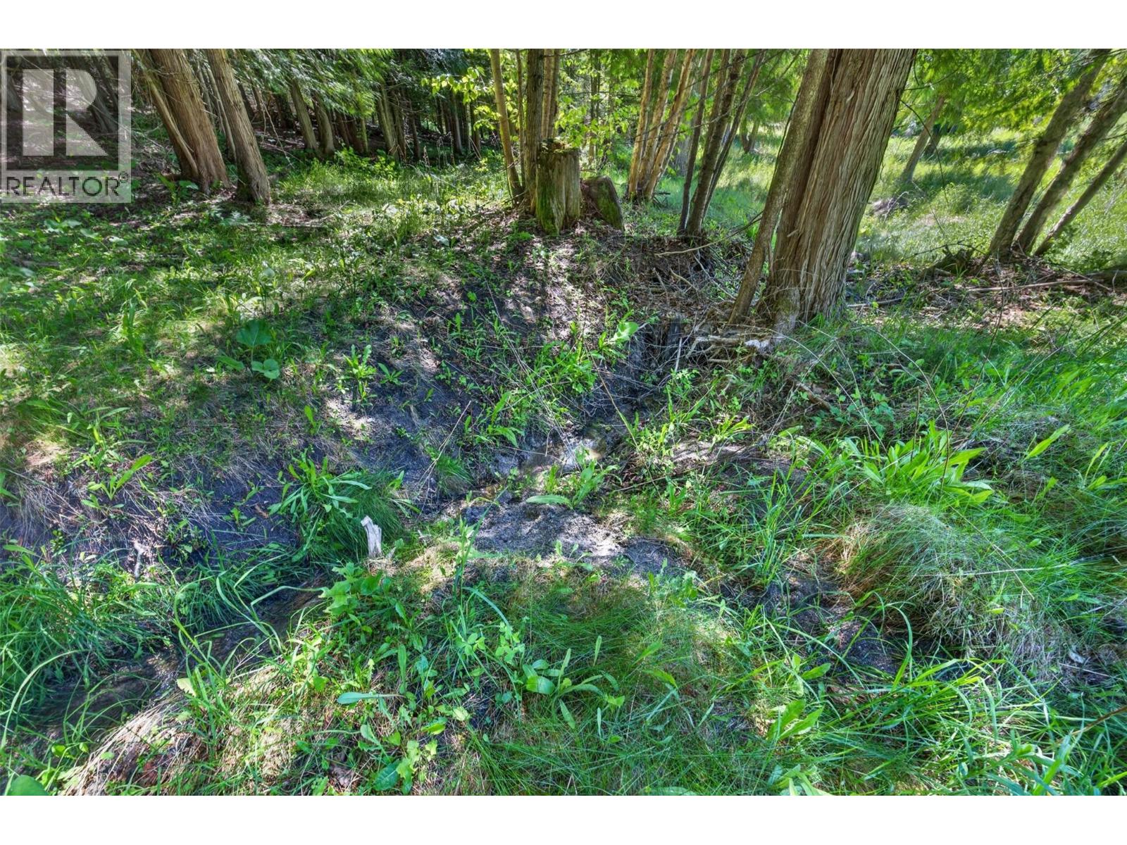31 Violet Road, Grindrod, British Columbia  V0E 1Y0 - Photo 65 - 10388469