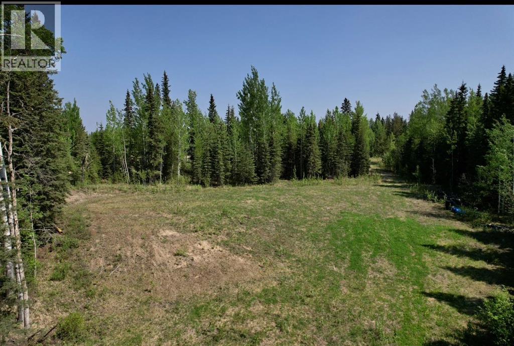4a Township 591 Range Road 114b, Rural Woodlands County, Alberta  T7S 1A0 - Photo 5 - A2297414