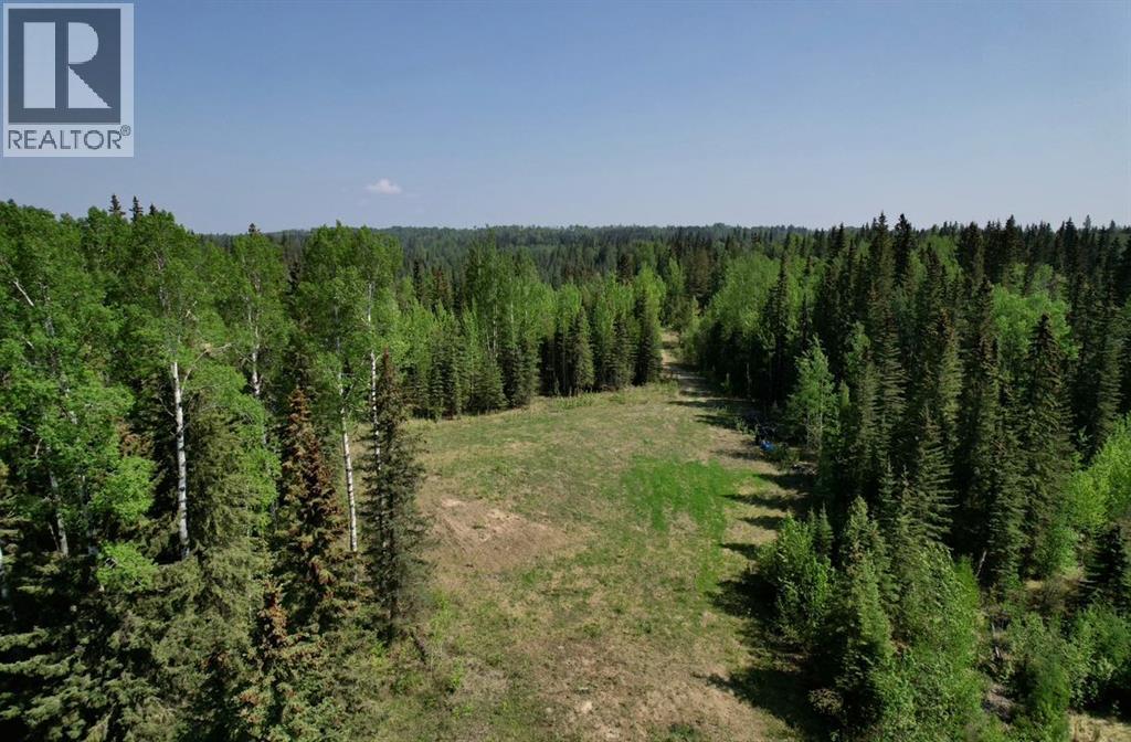 4a Township 591 Range Road 114b, Rural Woodlands County, Alberta  T7S 1A0 - Photo 3 - A2297414