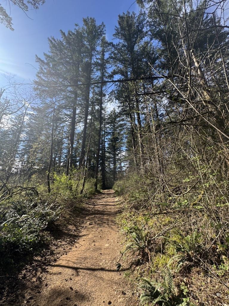 Pts1/2 Sec 19 Lougheed Highway, Mt Woodside, Mt Woodside, British Columbia  V0M 1A0 - Photo 12 - R3114702