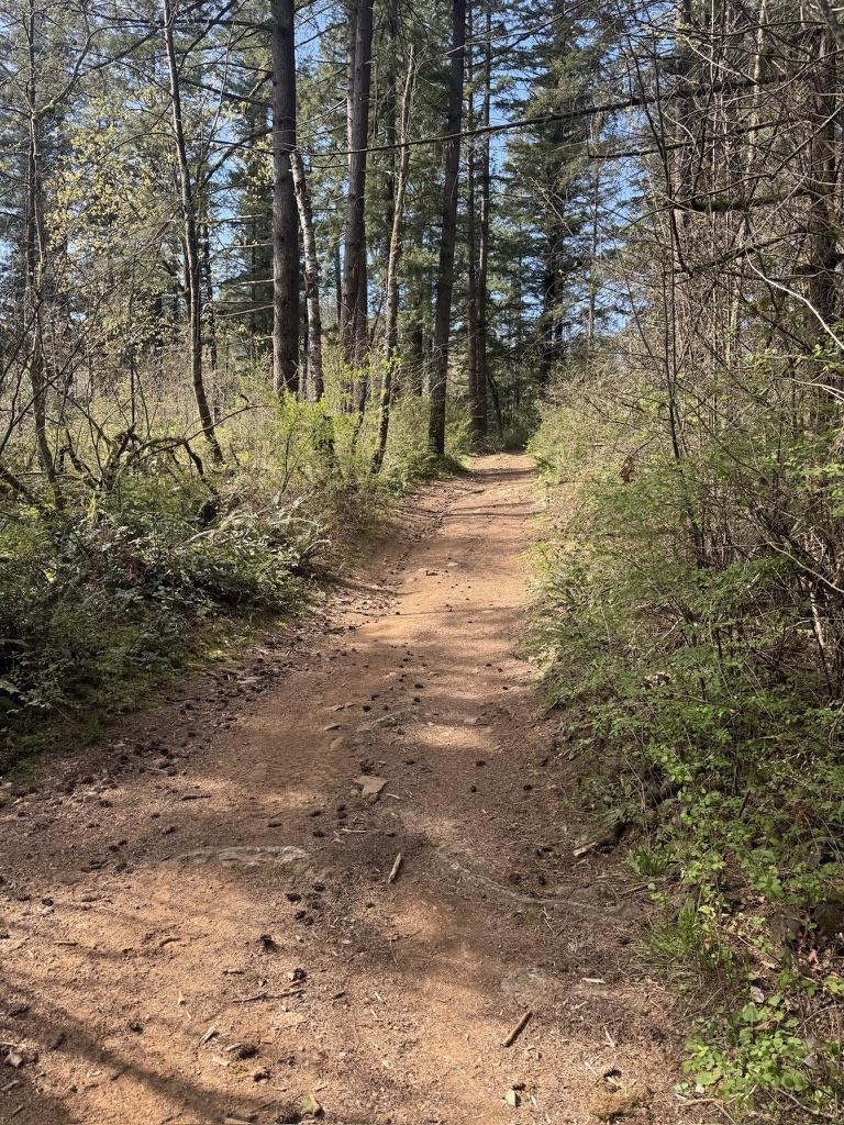 Pts1/2 Sec 19 Lougheed Highway, Mt Woodside, Mt Woodside, British Columbia  V0M 1A0 - Photo 13 - R3114702