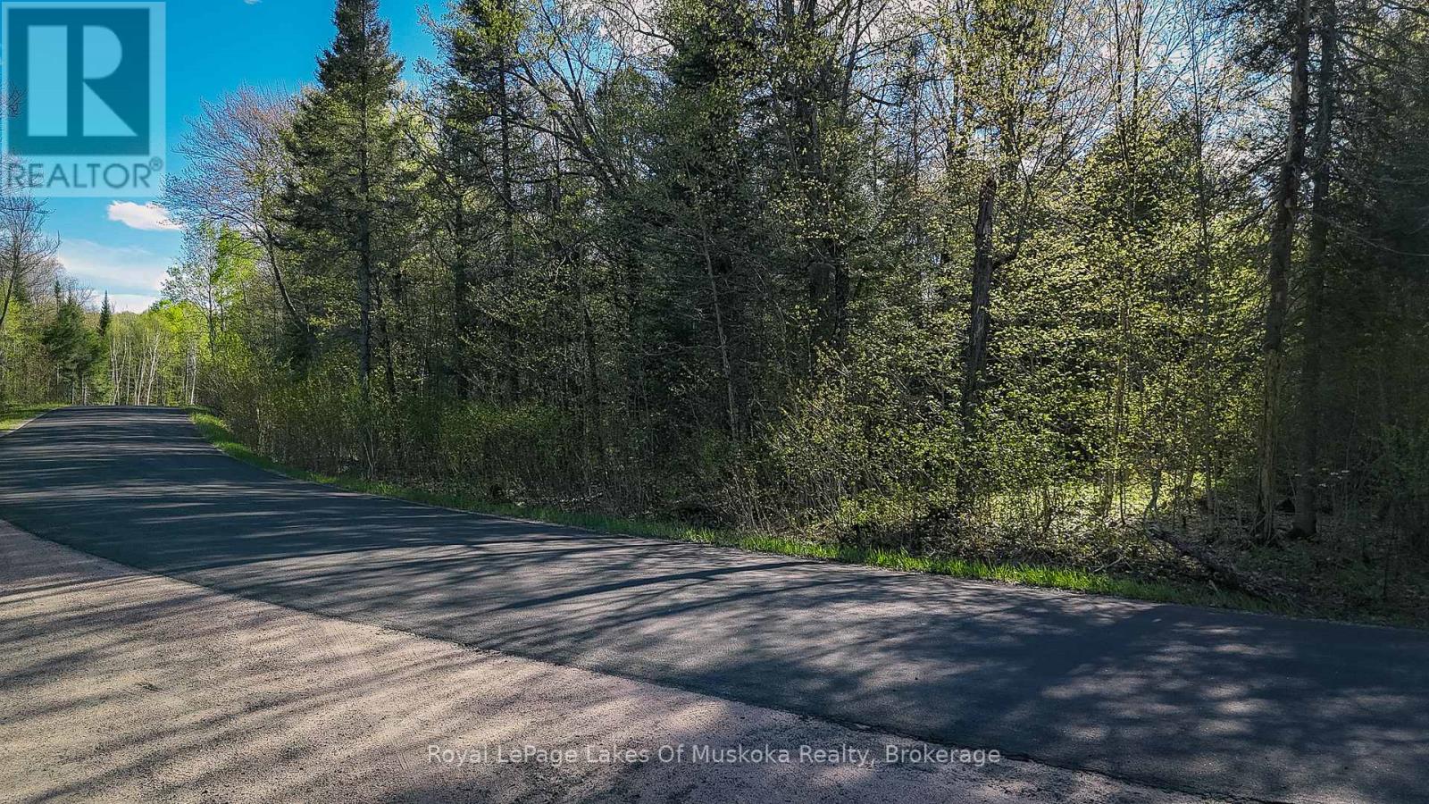0 High Rock Drive, Strong, Ontario  P0A 1Z0 - Photo 2 - X13162580