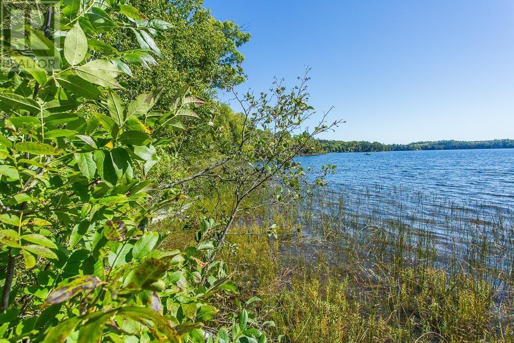 728 Basswood Lake Rd, Thessalon, Ontario  P0R 1L0 - Photo 37 - SM261070