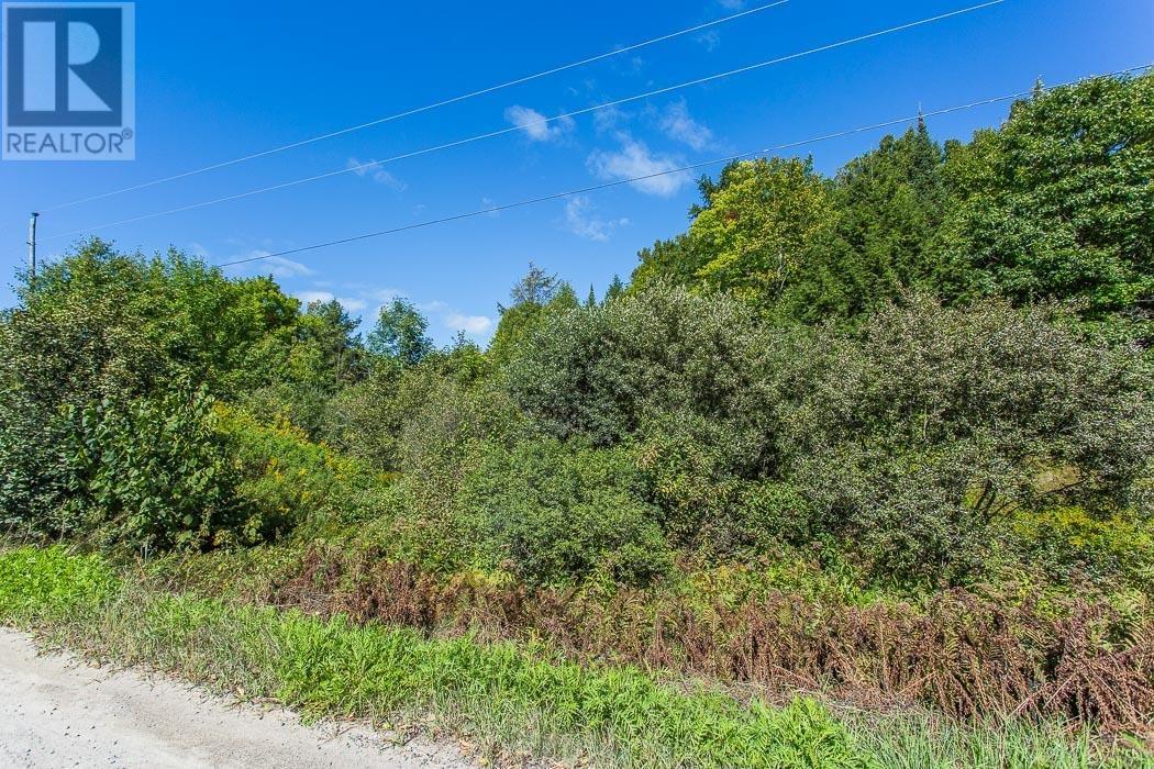 728 Basswood Lake Rd, Thessalon, Ontario  P0R 1L0 - Photo 40 - SM261070
