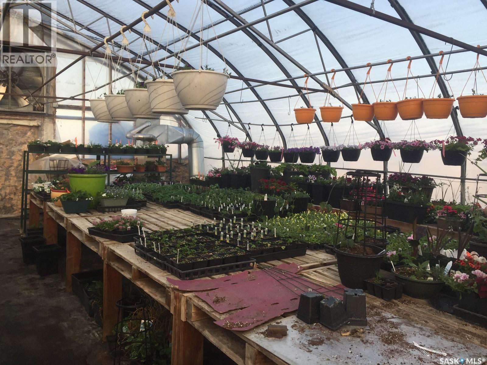Misty Meadows Greenhouse Ltd., Meadow Lake, Saskatchewan  S9X 1Y6 - Photo 10 - SK036861