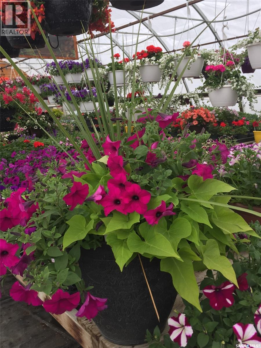 Misty Meadows Greenhouse Ltd., Meadow Lake, Saskatchewan  S9X 1Y6 - Photo 11 - SK036861