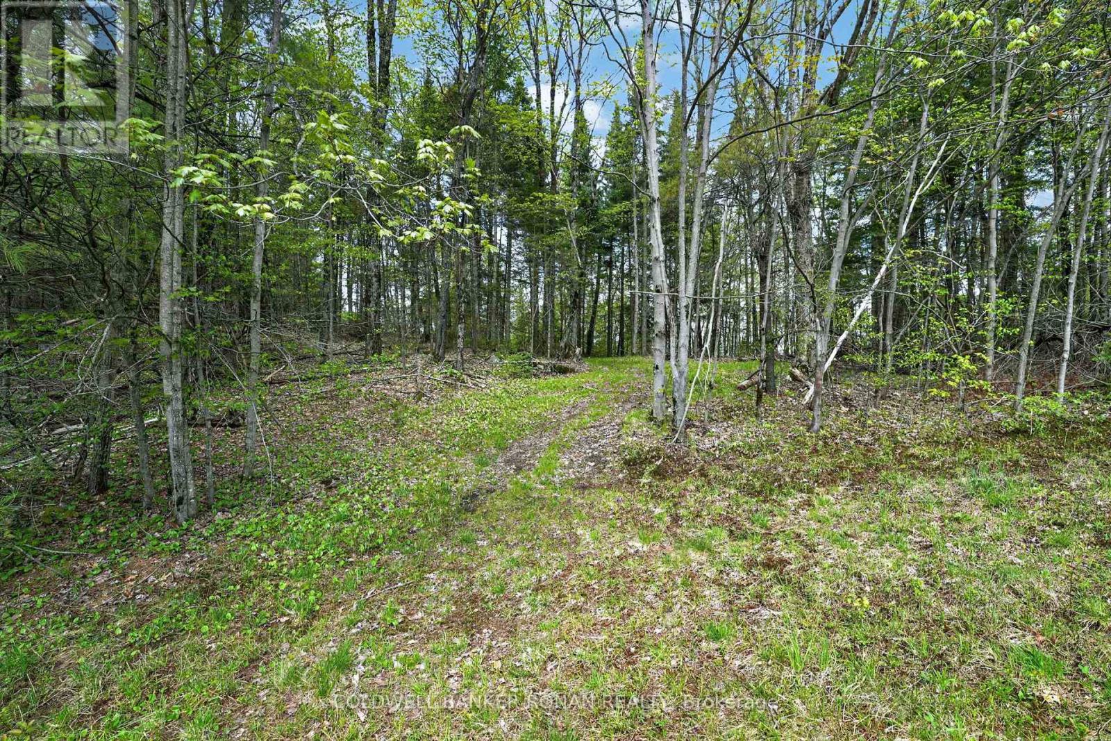 1043 Kirk Line East, Bracebridge, Ontario  P1L 0A1 - Photo 25 - X13162534