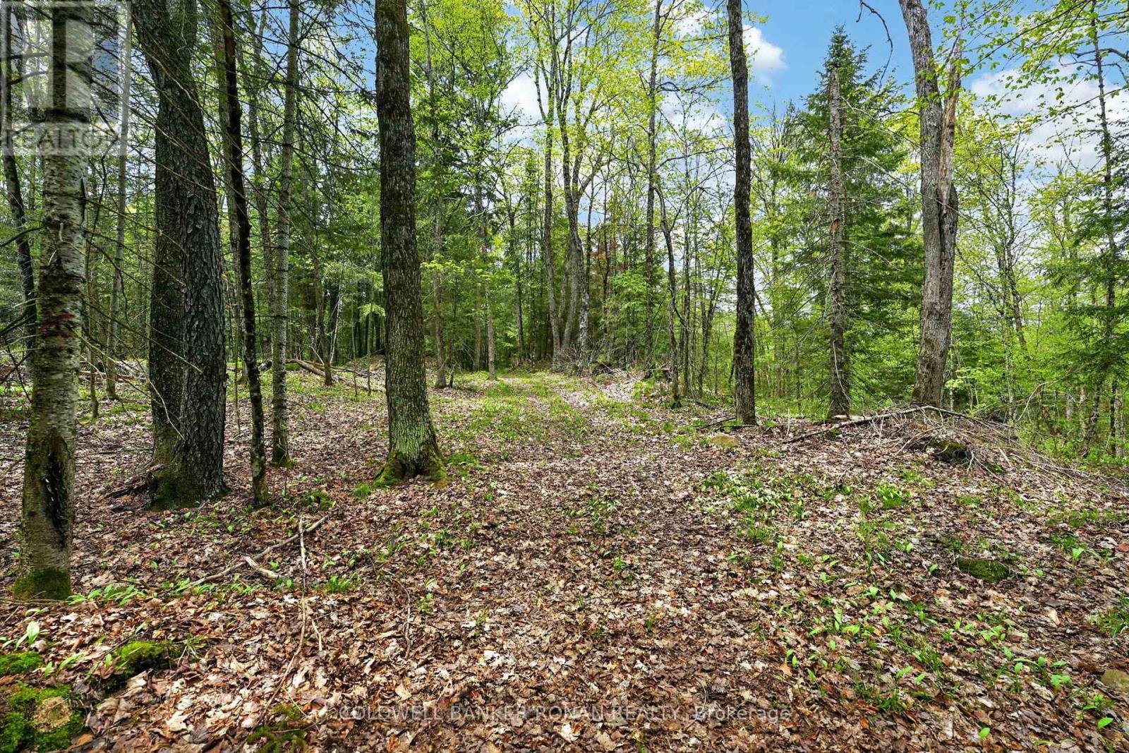 1043 Kirk Line East, Bracebridge, Ontario  P1L 0A1 - Photo 26 - X13162534