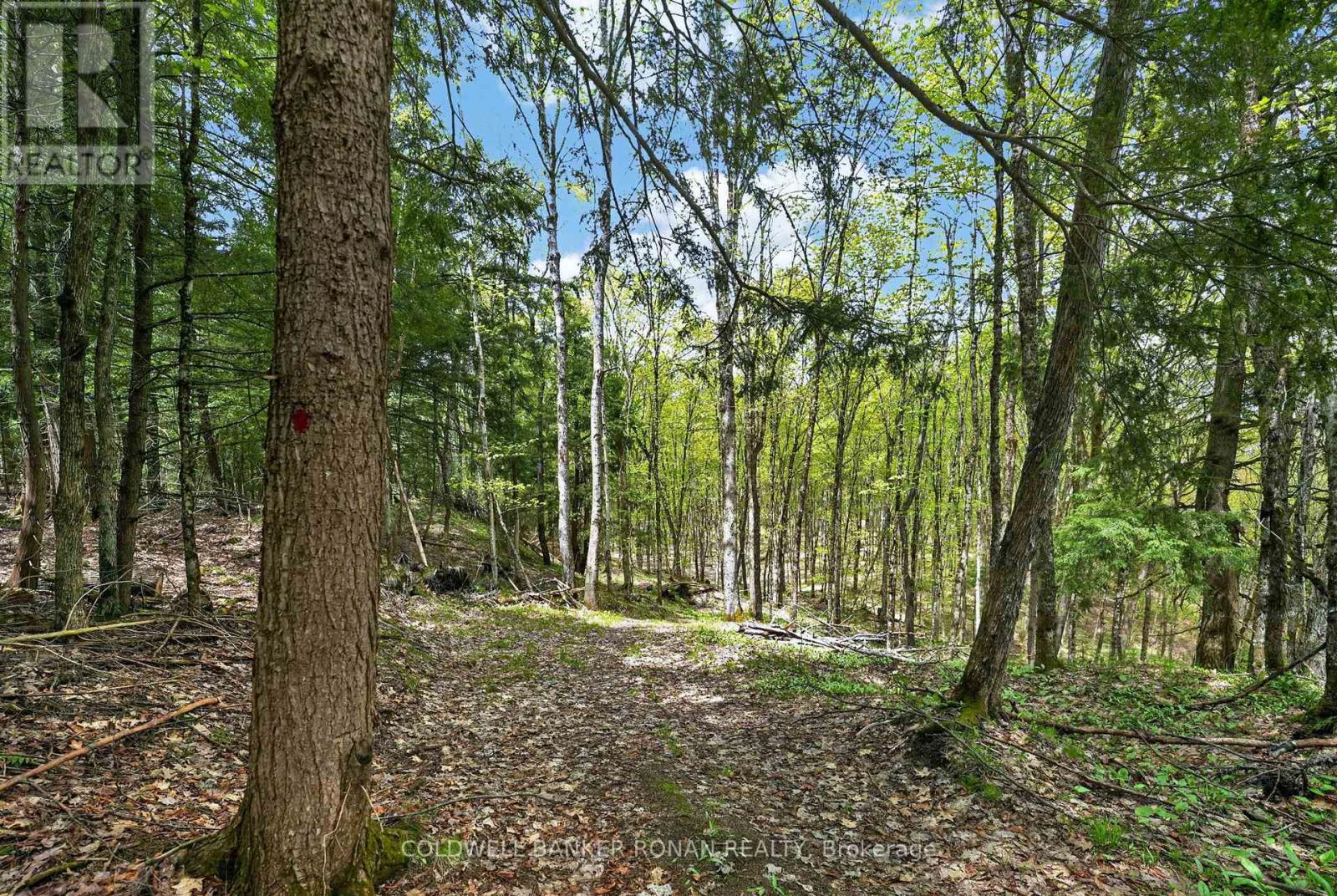 1043 Kirk Line East, Bracebridge, Ontario  P1L 0A1 - Photo 27 - X13162534
