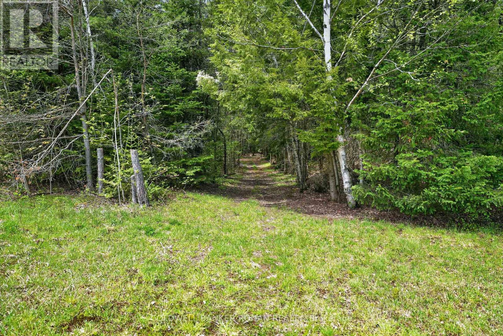 1043 Kirk Line East, Bracebridge, Ontario  P1L 0A1 - Photo 30 - X13162534