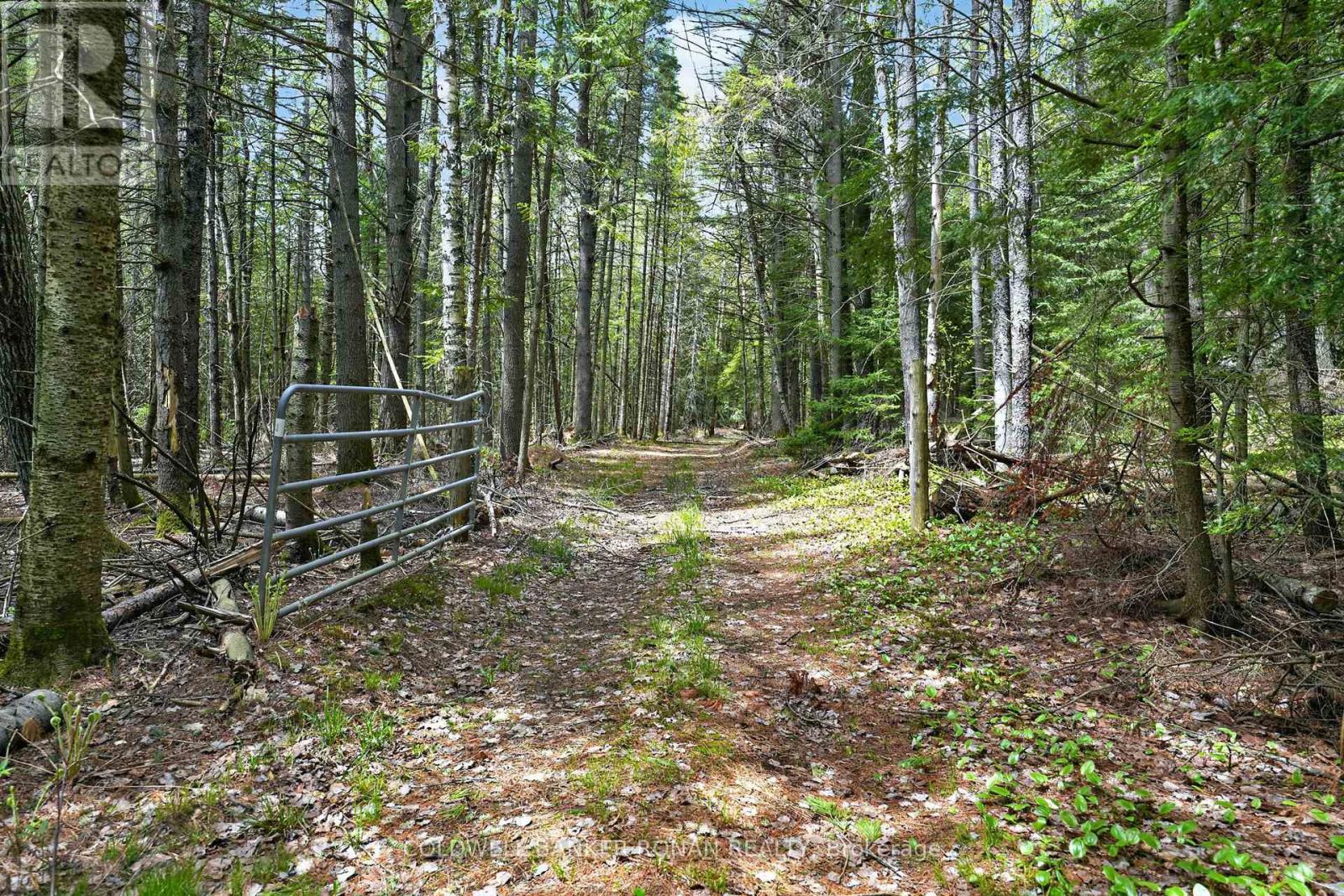 1043 Kirk Line East, Bracebridge, Ontario  P1L 0A1 - Photo 31 - X13162534