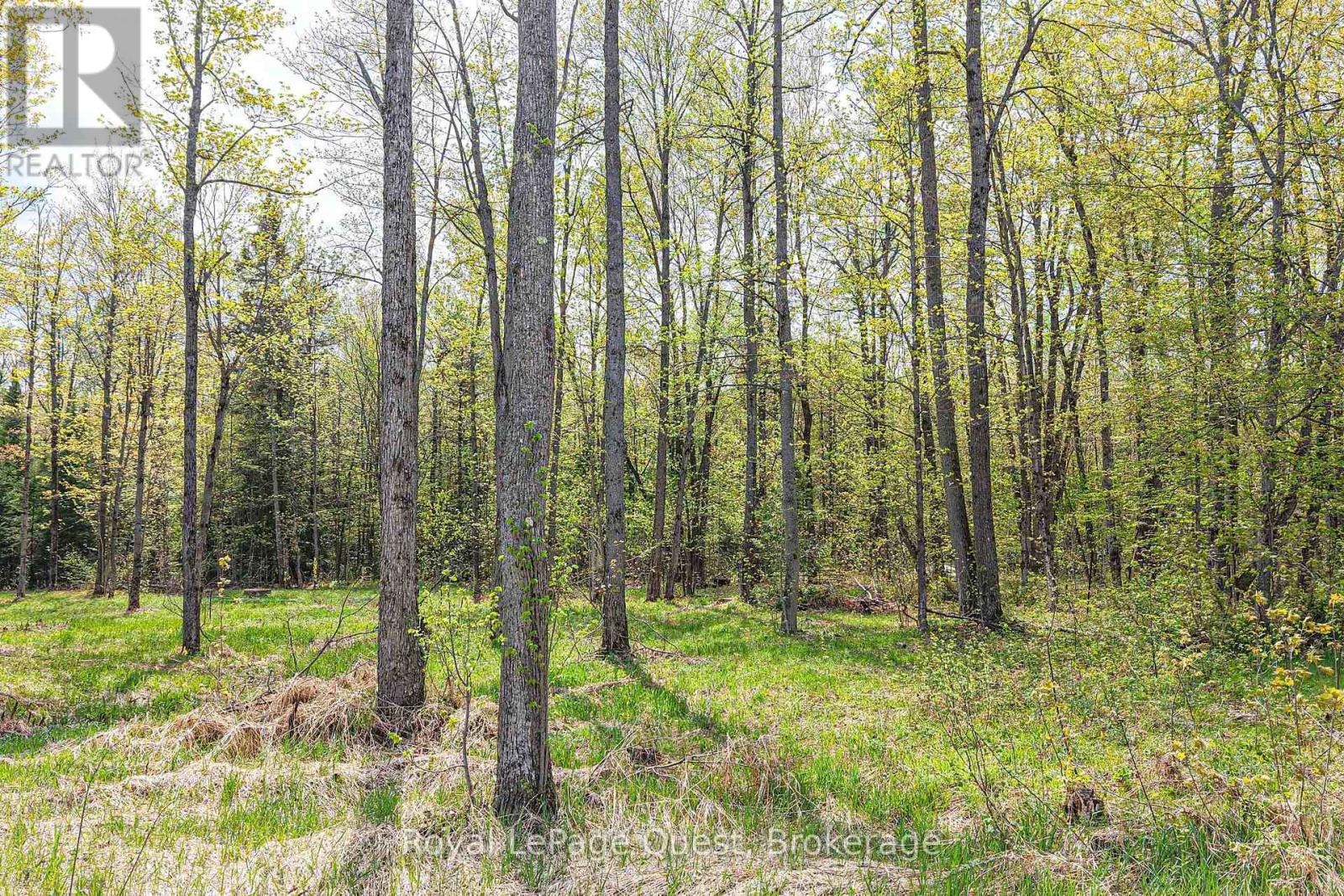 137 Morton Lane, Kawartha Lakes (Dalton), Ontario L0K 1W0 - Photo 11 - X13162692