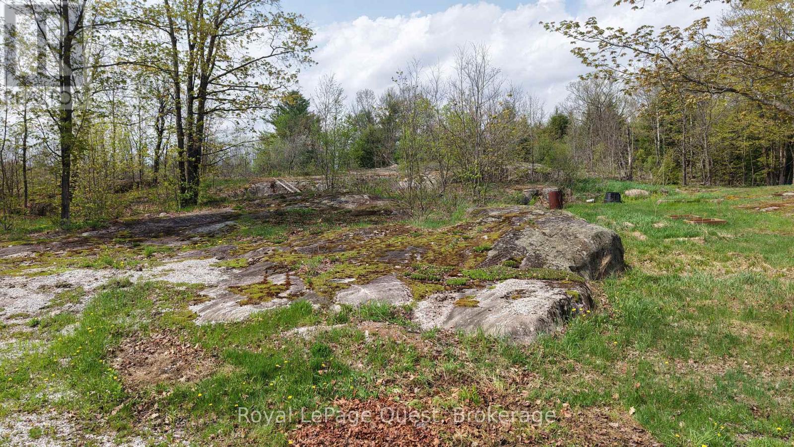 137 Morton Lane, Kawartha Lakes (Dalton), Ontario L0K 1W0 - Photo 8 - X13162692