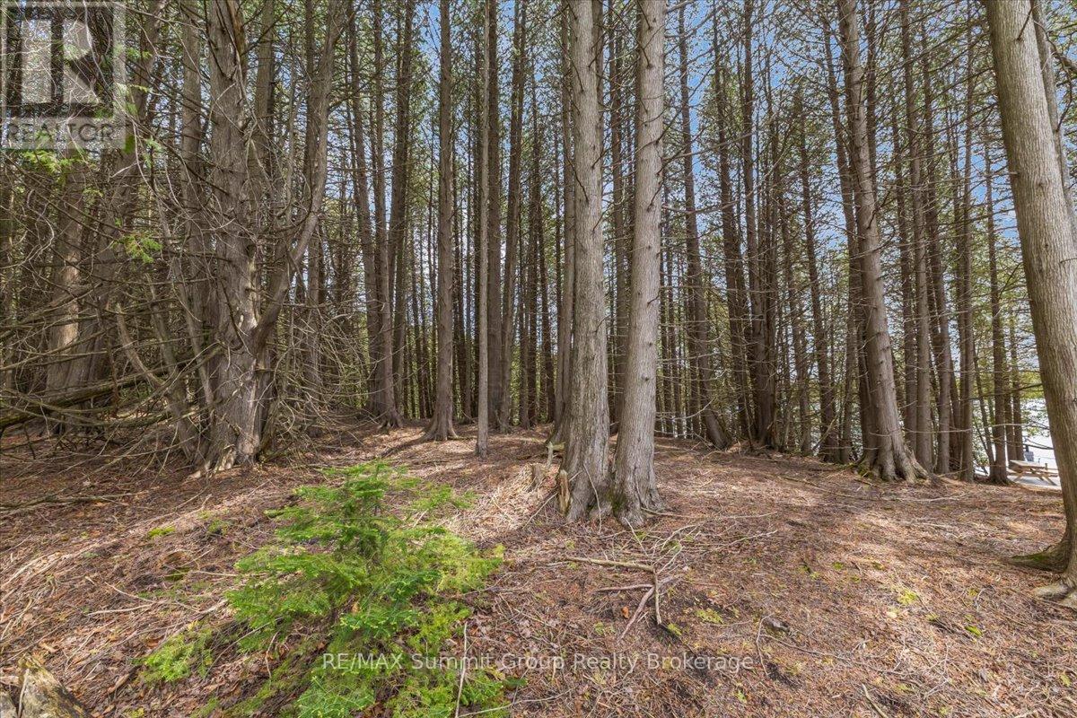 Pt Lt 2 Lakewood Lane, Grey Highlands, Ontario  N0C 1H0 - Photo 5 - X13162768