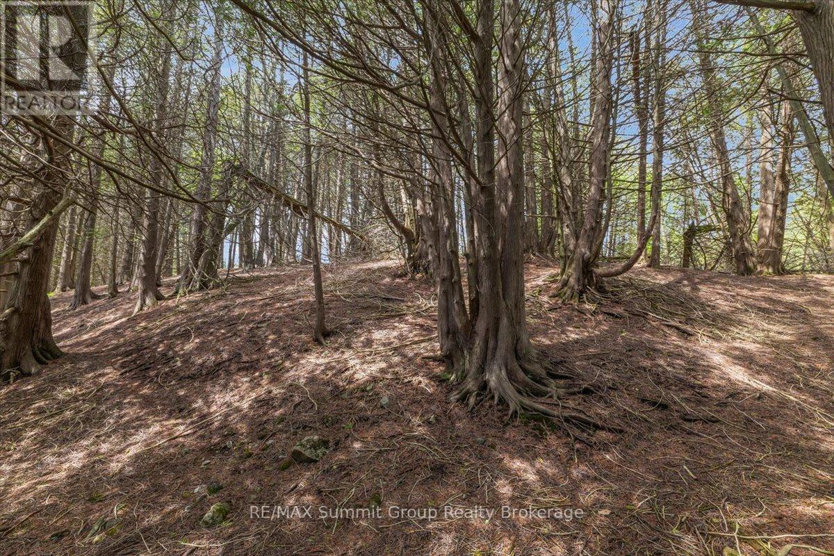 Pt Lt 2 Lakewood Lane, Grey Highlands, Ontario  N0C 1H0 - Photo 6 - X13162768