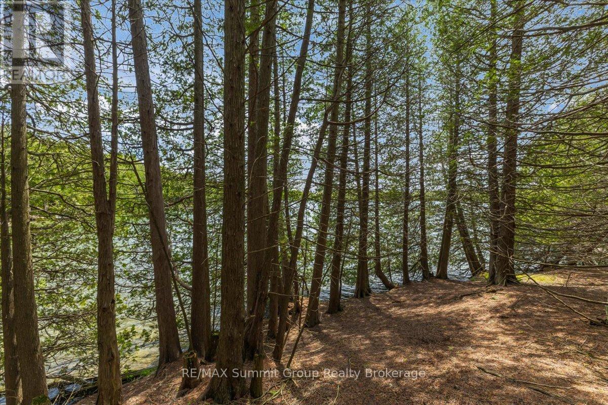 Pt Lt 2 Lakewood Lane, Grey Highlands, Ontario  N0C 1H0 - Photo 7 - X13162768
