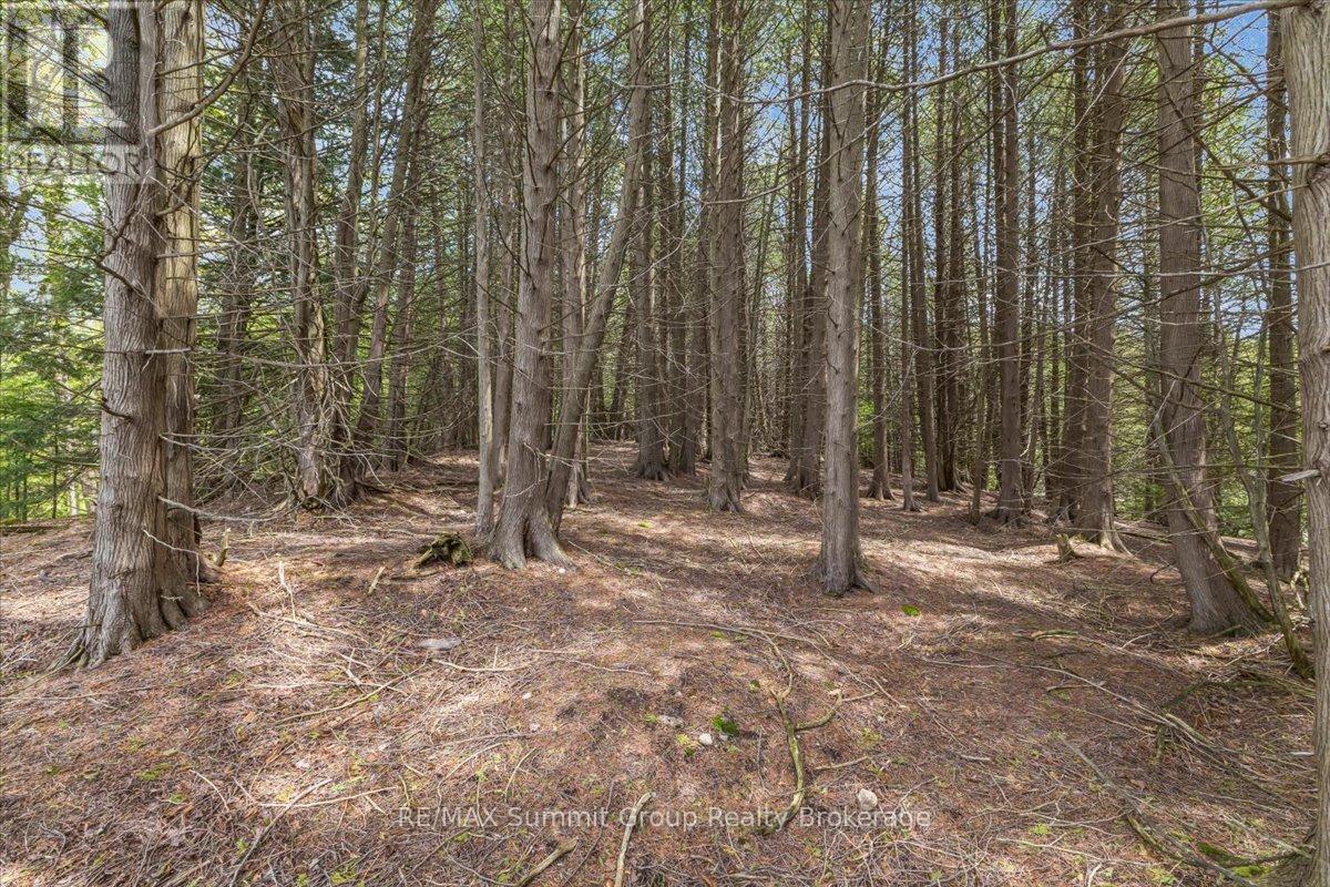 Pt Lt 2 Lakewood Lane, Grey Highlands, Ontario  N0C 1H0 - Photo 8 - X13162768