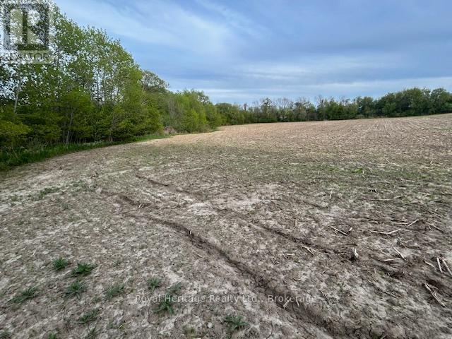 2299 Baseline Road W, Clarington, Ontario  L1C 6G4 - Photo 1 - E13163088