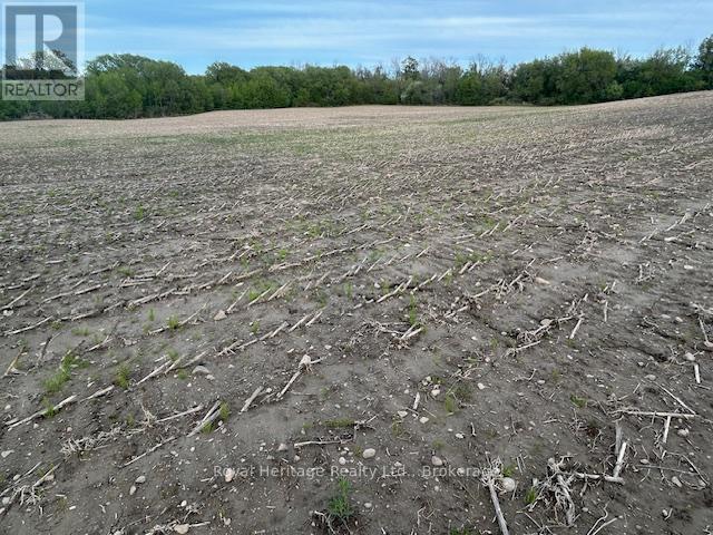 2299 Baseline Road W, Clarington, Ontario  L1C 6G4 - Photo 2 - E13163088