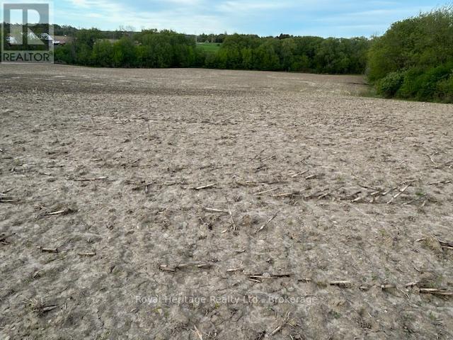 2299 Baseline Road W, Clarington, Ontario  L1C 6G4 - Photo 3 - E13163088