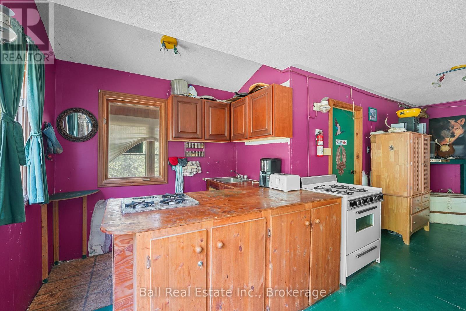174 Moon Line Road N, Trent Lakes, Ontario  K0M 1A0 - Photo 17 - X13163006