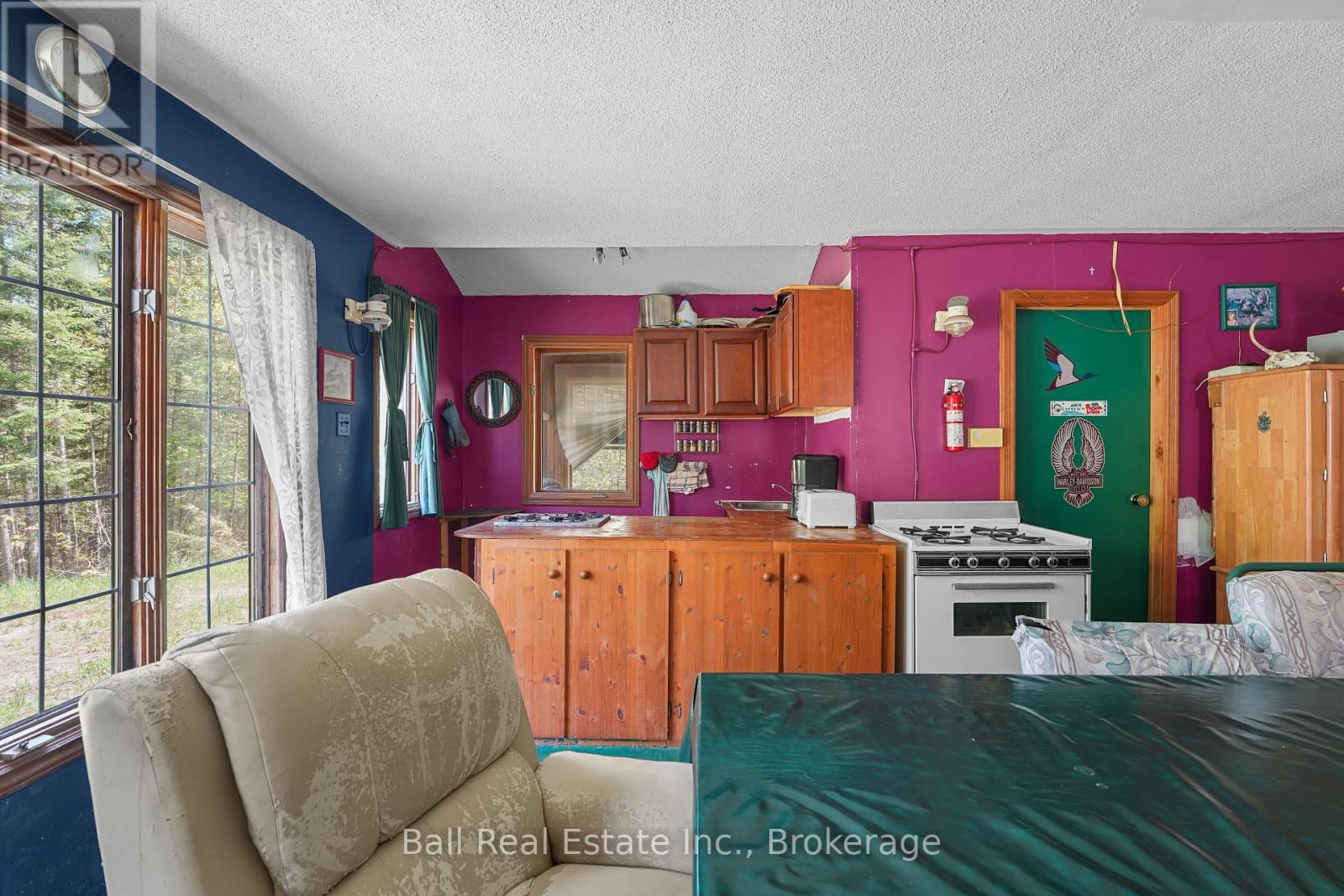 174 Moon Line Road N, Trent Lakes, Ontario  K0M 1A0 - Photo 24 - X13163006