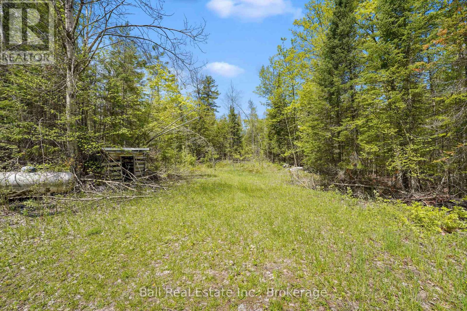 174 Moon Line Road N, Trent Lakes, Ontario  K0M 1A0 - Photo 27 - X13163006