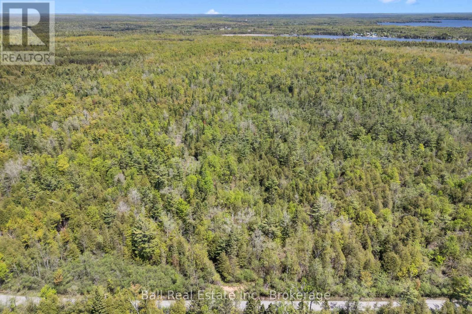 174 Moon Line Road N, Trent Lakes, Ontario  K0M 1A0 - Photo 30 - X13163006