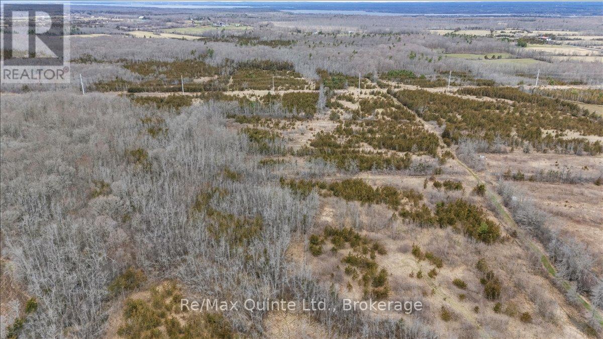 Across From 3904 Cty Rd 49, Prince Edward County, Ontario  K0K 2T0 - Photo 5 - X13163084