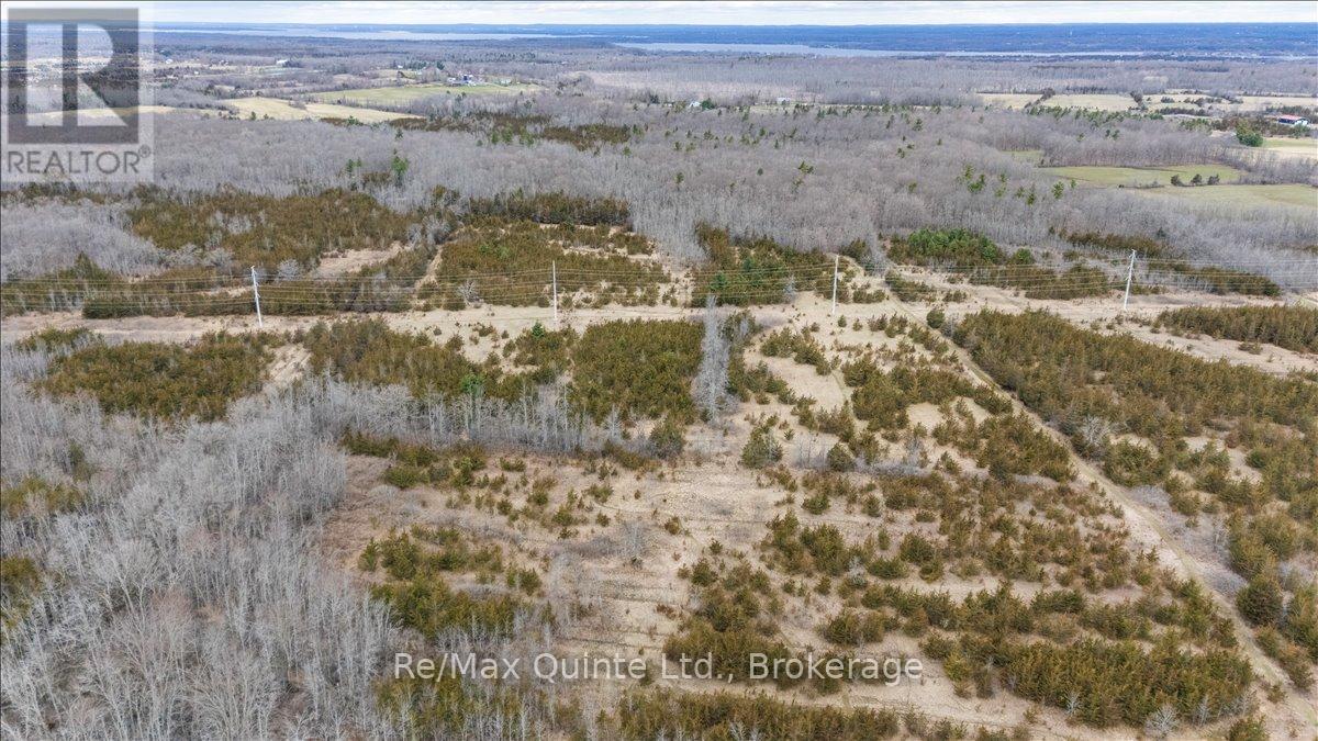 Across From 3904 Cty Rd 49, Prince Edward County, Ontario  K0K 2T0 - Photo 6 - X13163084