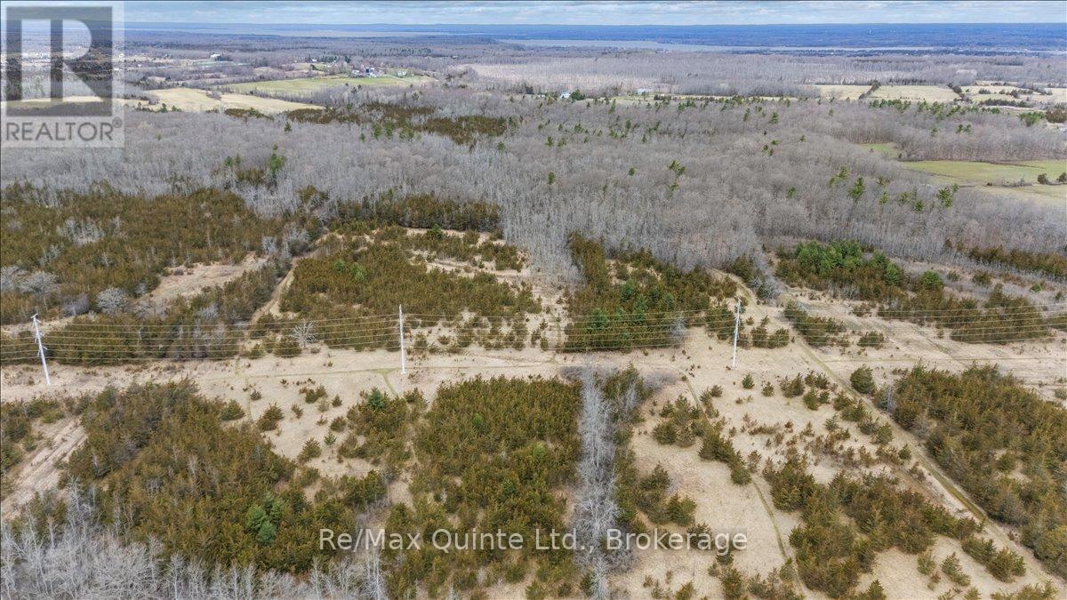 Across From 3904 Cty Rd 49, Prince Edward County, Ontario  K0K 2T0 - Photo 7 - X13163084