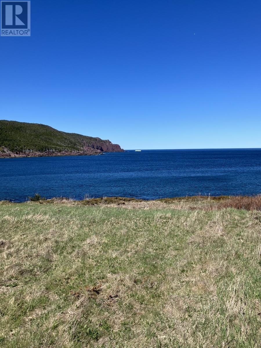 0 Broad Cove, Duntara, Newfoundland & Labrador  A0C 1M0 - Photo 7 - 1293569