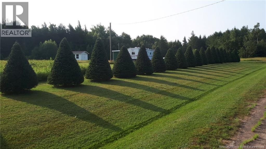 Lot Angel Road, Saint-Ignace, New Brunswick  E4X 0B3 - Photo 14 - NB138781