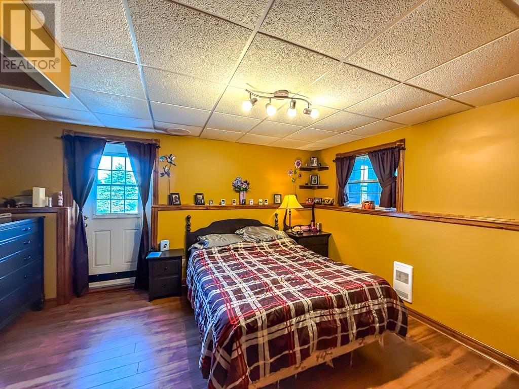 0 Skanes Road, Port De Grave, Newfoundland & Labrador  A0A 3J0 - Photo 21 - 1297941
