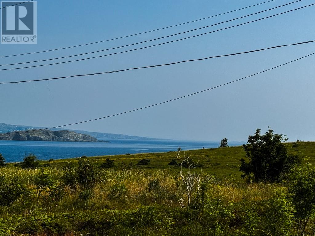 0 Skanes Road, Port De Grave, Newfoundland & Labrador  A0A 3J0 - Photo 3 - 1297941