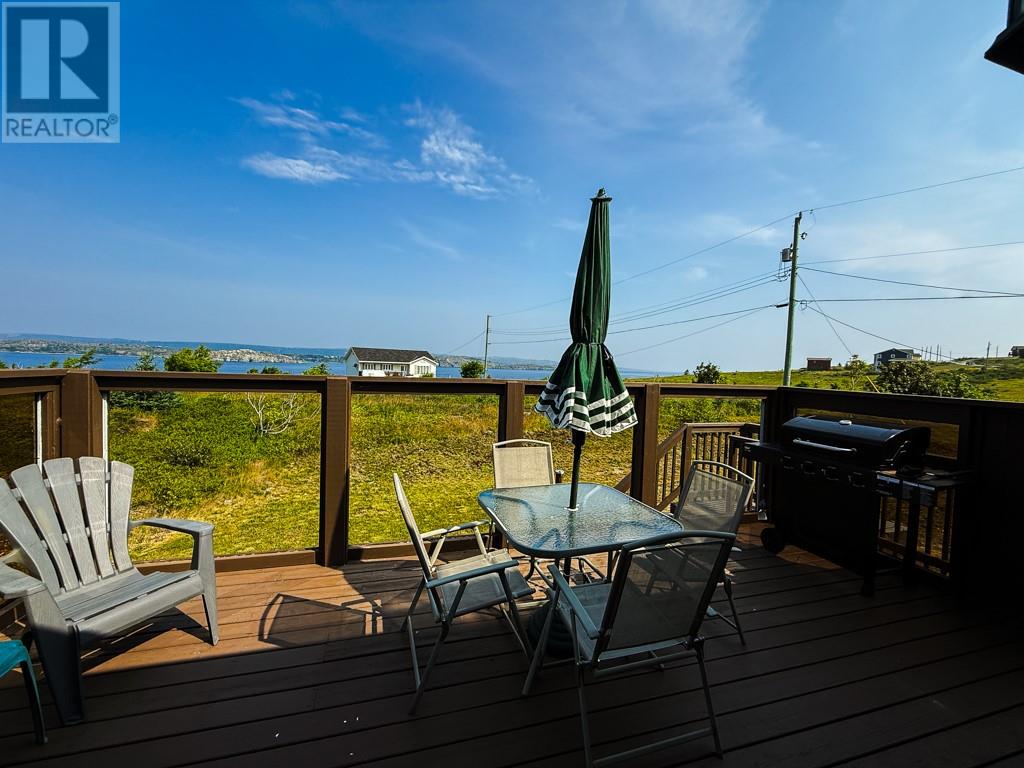 0 Skanes Road, Port De Grave, Newfoundland & Labrador  A0A 3J0 - Photo 38 - 1297941