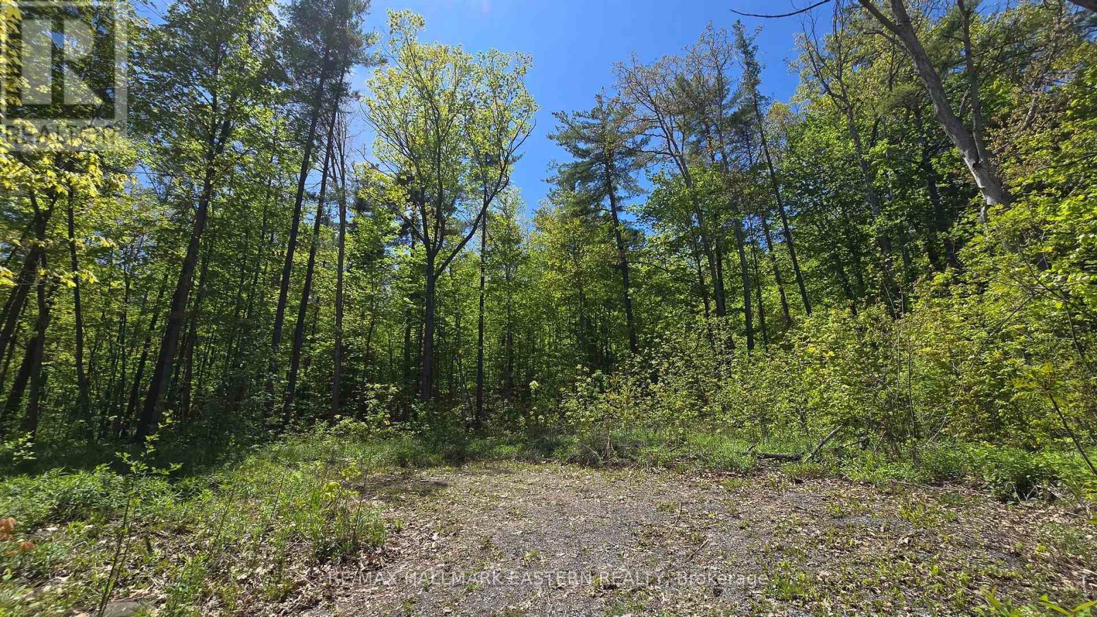N/a County Road 30, Trent Hills, Ontario  K0L 1L0 - Photo 3 - X13163448